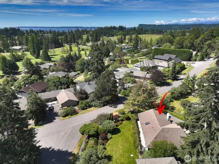 There is a long view through the community with Useless Bay and Mt Rainier visible as a backdrop from the SW side of this home.