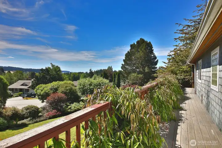 This is a sun filled yard and home with mature landscaping.
