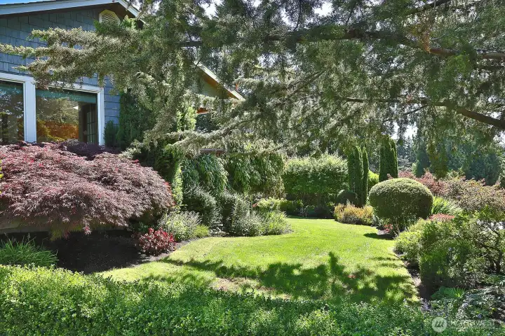 The yard was laid out with thoughtful care to make something pretty.