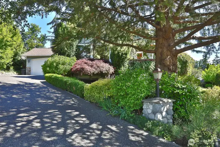 Curb appeal...