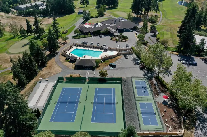 The Colony complex just added Pickleball Courts to the pool and golf course amenities!