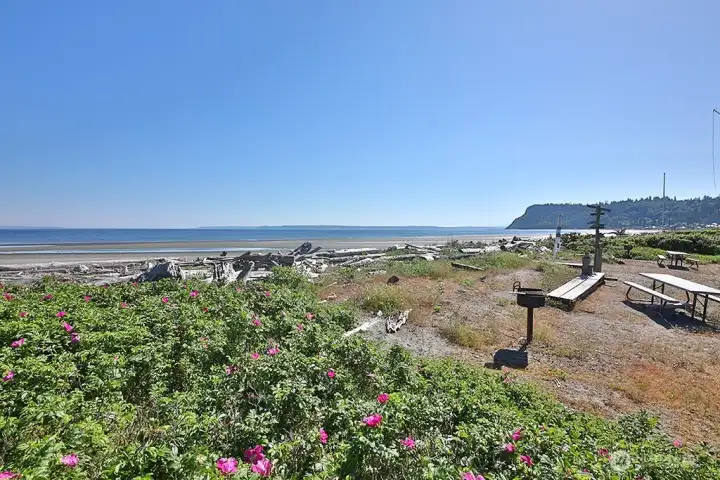 Walk or drive to the Community Beach Access area!