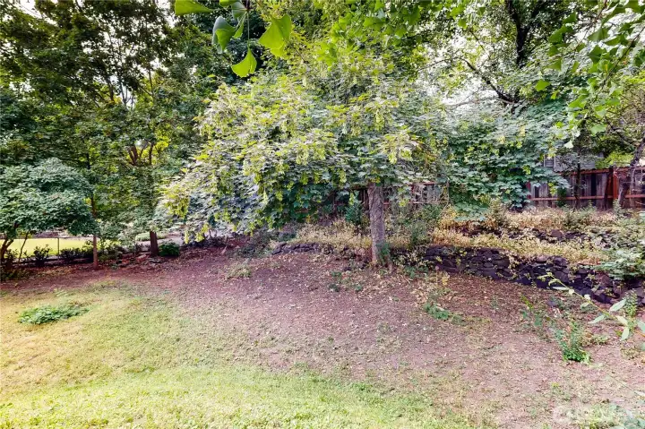 large fenced backyard