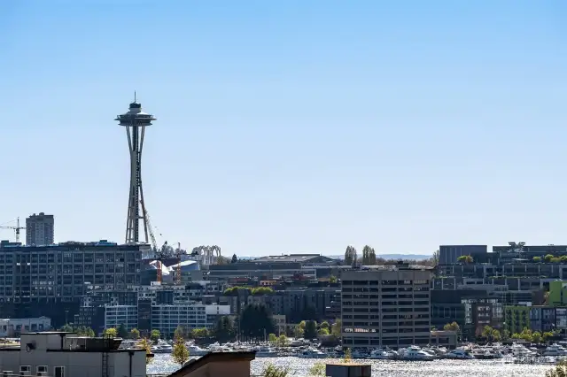 Views of the Space Needle and surrounding City beyond Lake Union.