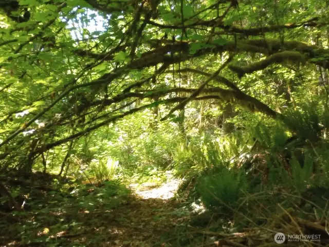 Hiking trails