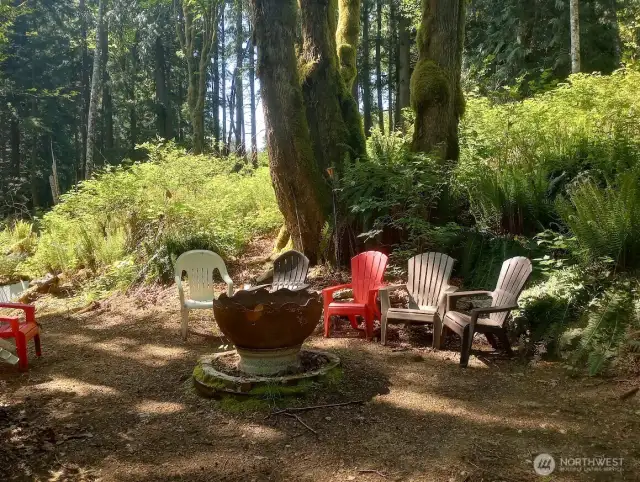 Fire pit in the woods