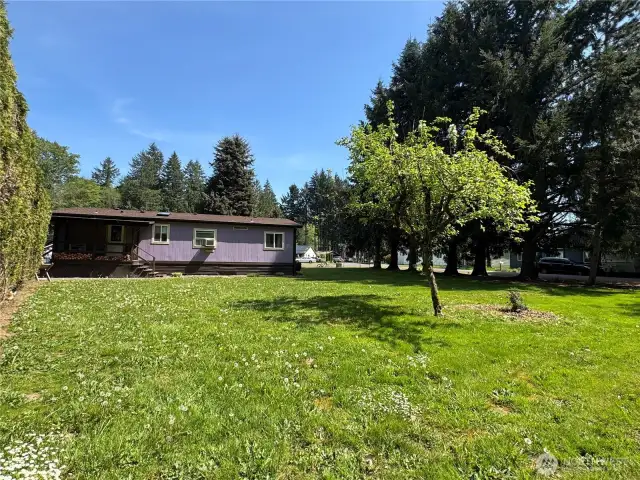 Large back yard