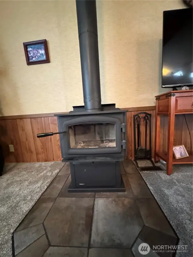 Free standing wood stove