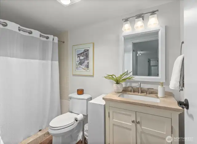 2nd bath/guest bath,  Walk in shower