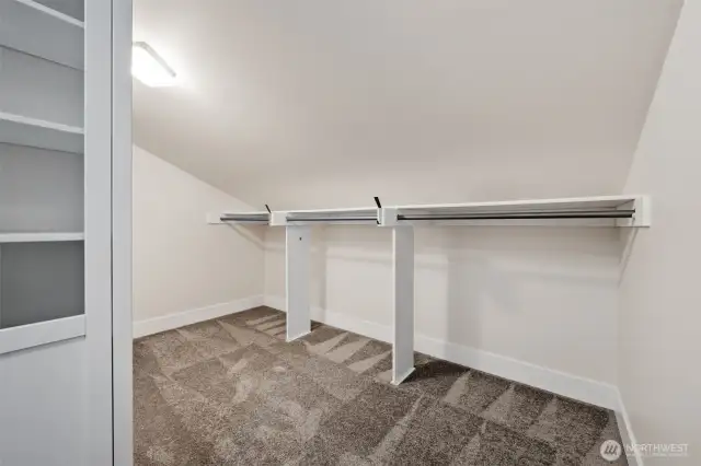 Designed for style and function, this closet features built-in shelving, ample hanging space, and soft carpeting underfoot.