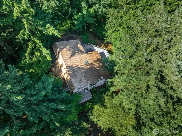 A bird’s-eye perspective showcases the home’s cedar shake roof and private wooded lot—your own treehouse retreat in the heart of Bellevue.