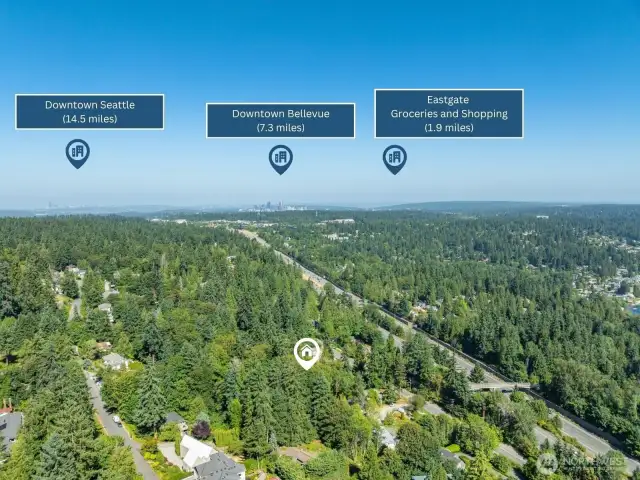 West View: Enjoy the best of both worlds with quick access to Downtown Bellevue and Seattle, all while living in a quiet, tree-lined residential retreat.