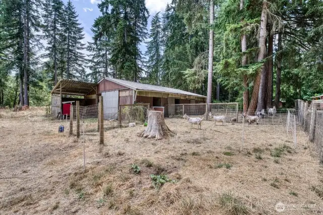 The pens outside the barn, look at those big, beautiful trees.