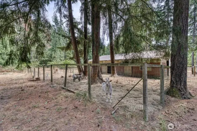Another view of the pens outside the barn.