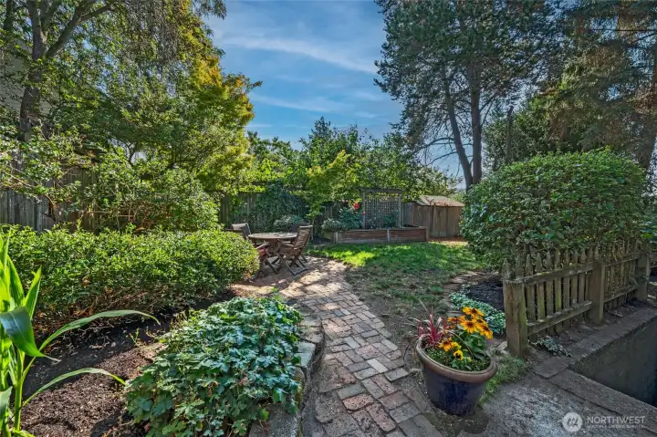 Beautiful Backyard Garden