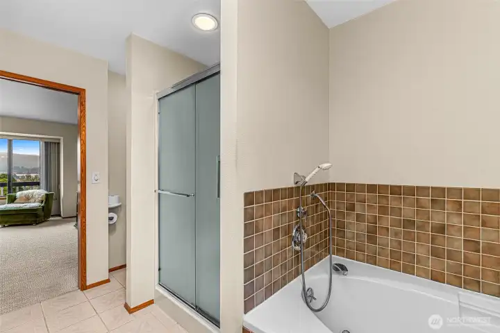 Soaking Tub/Shower