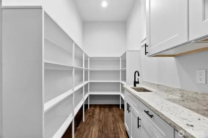 Pantry with a butler station and wet bar.