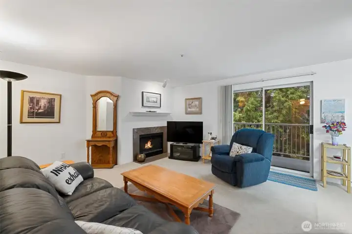 Wood burning fireplace