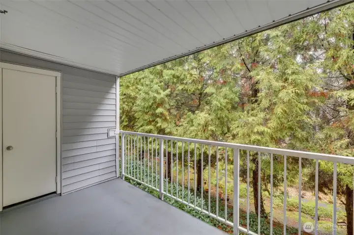 deck with storage closet