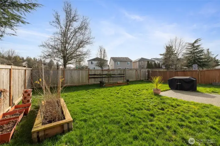 Fenced back yard with raised garden beds/boxes