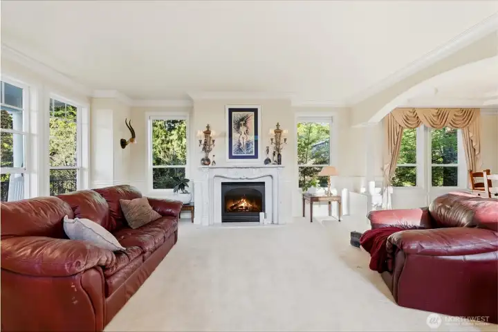 Living room with marble fireplace
