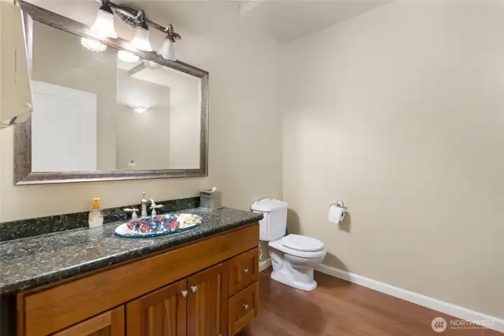 Lower-level bathroom