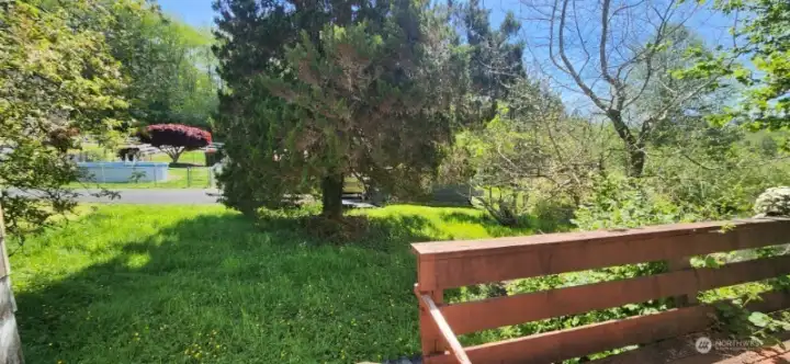View of your expansive backyard space.
