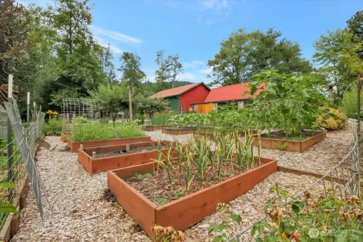 Raised garden beds