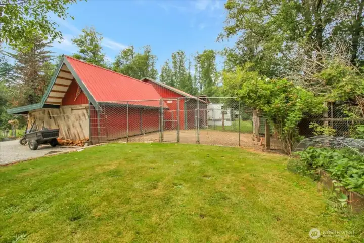 Chicken and poultry pen