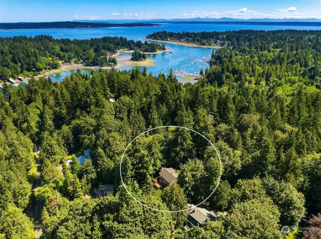 This estate is a true haven, combining luxury, functionality, and the serene beauty of Bainbridge Island.