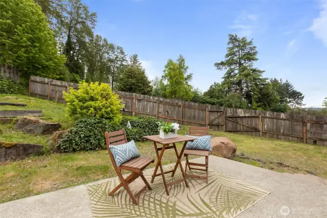 Backyard