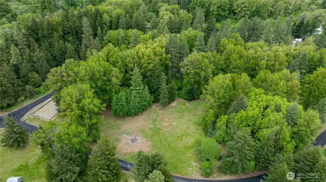Community Park