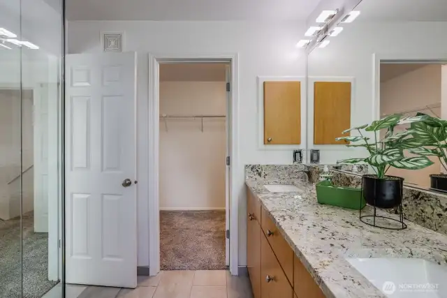 Generous walk-in closet, modern lighting fixtures, dual sinks....  What's not to love?
