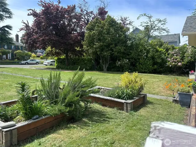 Front yard flower beds!