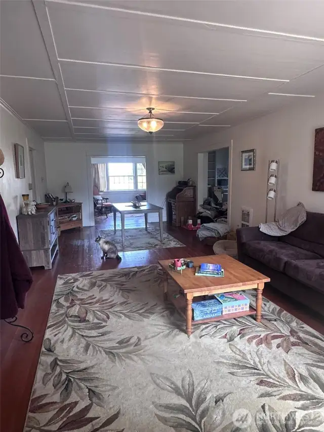 Initial view of expansive living room!