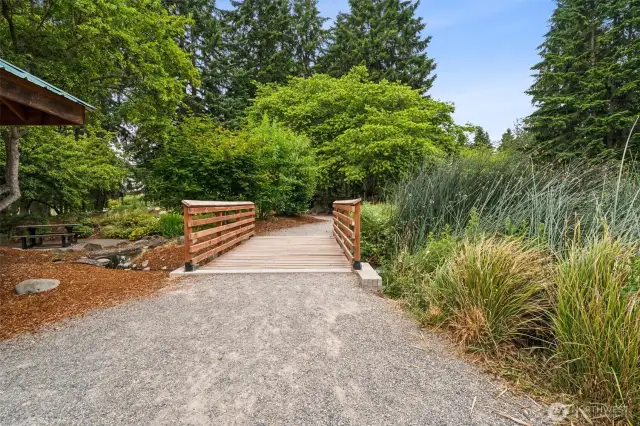 Walking Trails in the Park