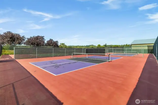 Birch Bay Village has 4 pickleball courts!