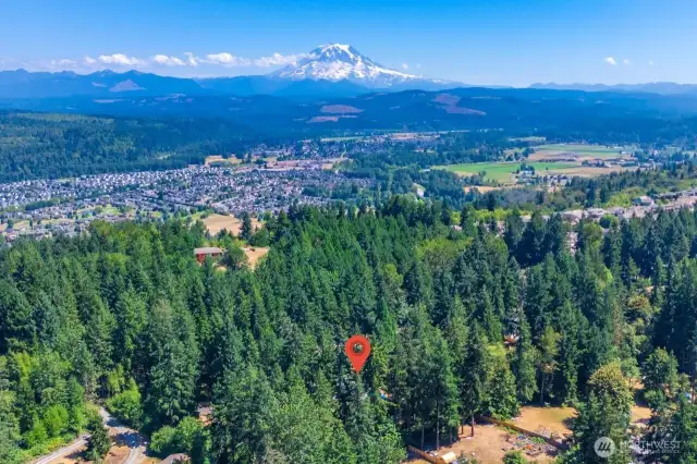 As you drive up the secluded road lined with trees you can feel the serenity. The property sits amongst million dollar homes each on large lots providing plenty of privacy.