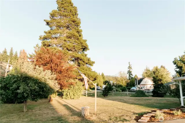 Large Yard, garden space