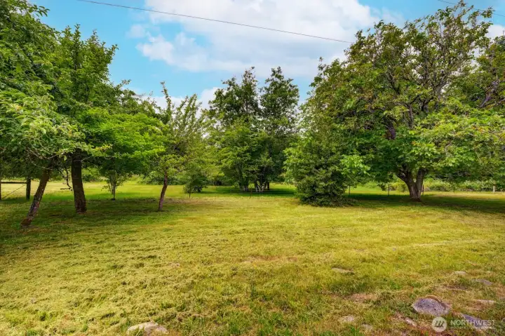 Small orchard on front of property.