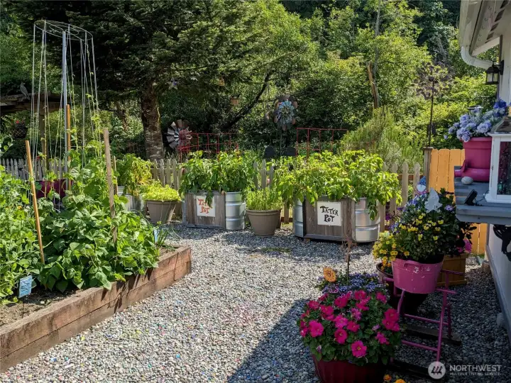 A view of the garden beds in the Summer months.