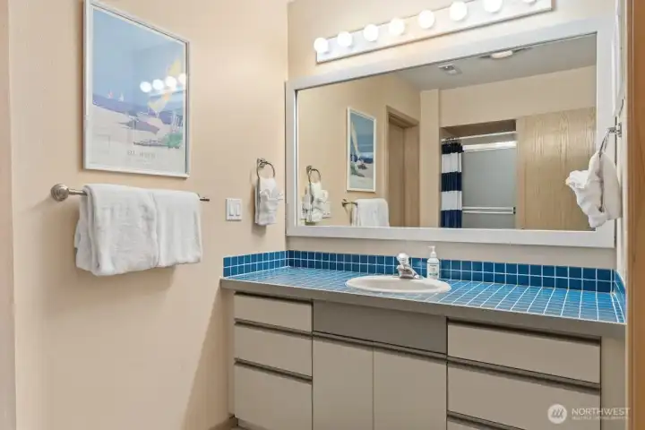 Lower Level Bathroom