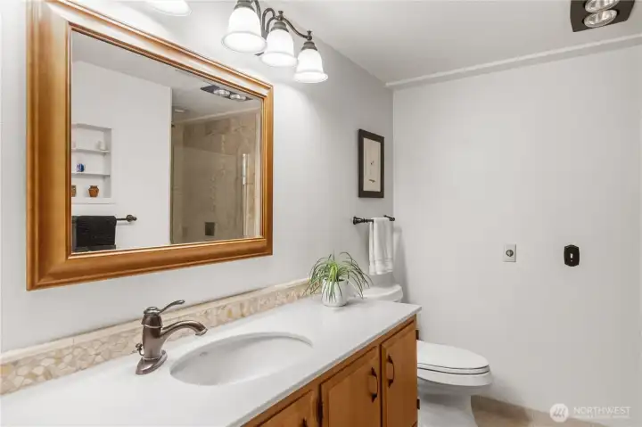 Guest/bedroom toilet and new shower