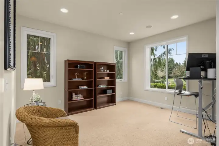 2nd Office/Library/Sitting Room off the entry