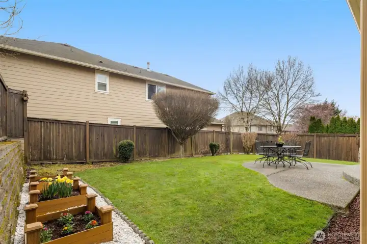 Fully fenced backyard