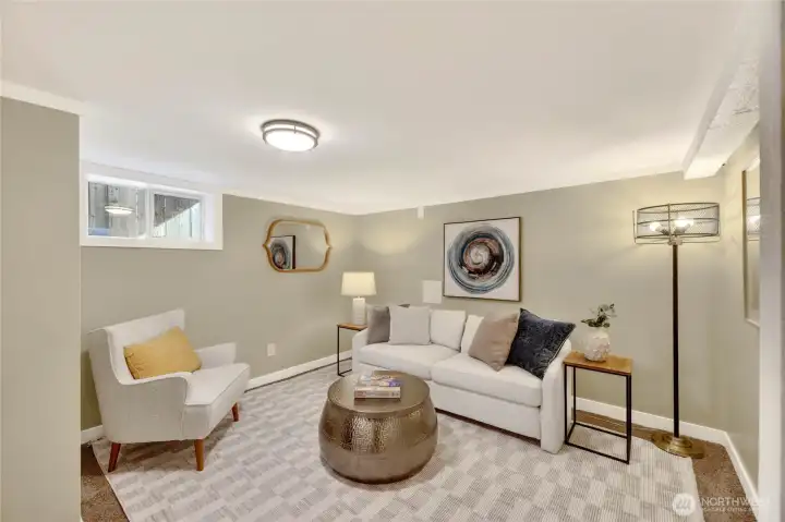 Bonus Space in Basement