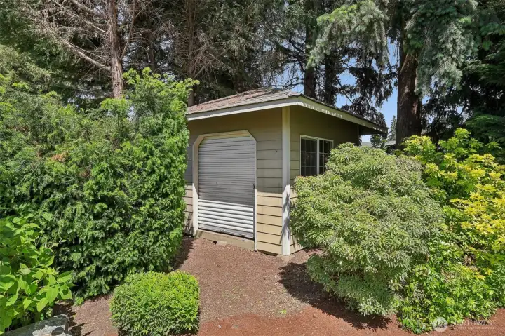 Storage shed