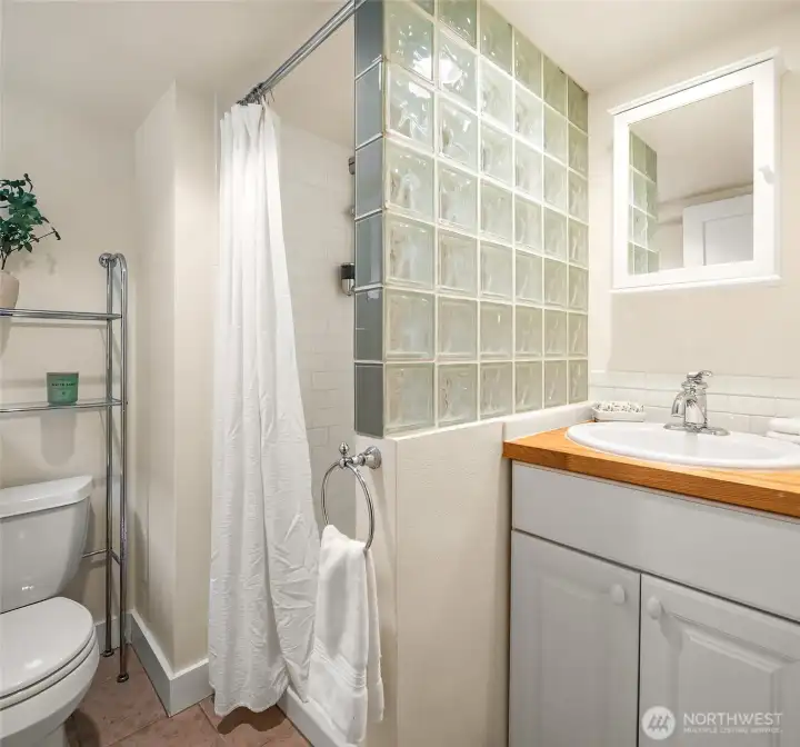 Well appointed lower level bathroom. Well appointed lower level bathroom.