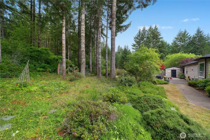 Natural landscaping and wooded backdrop provide exceptional privacy on the 1.19-acre property. Natural landscaping and wooded backdrop provide exceptional privacy on the 1.19-acre property.
