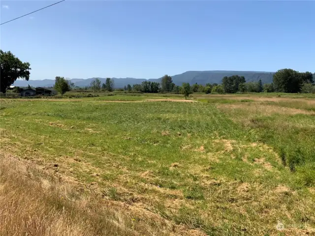 West front corner of property looking toward the Oregon Hills